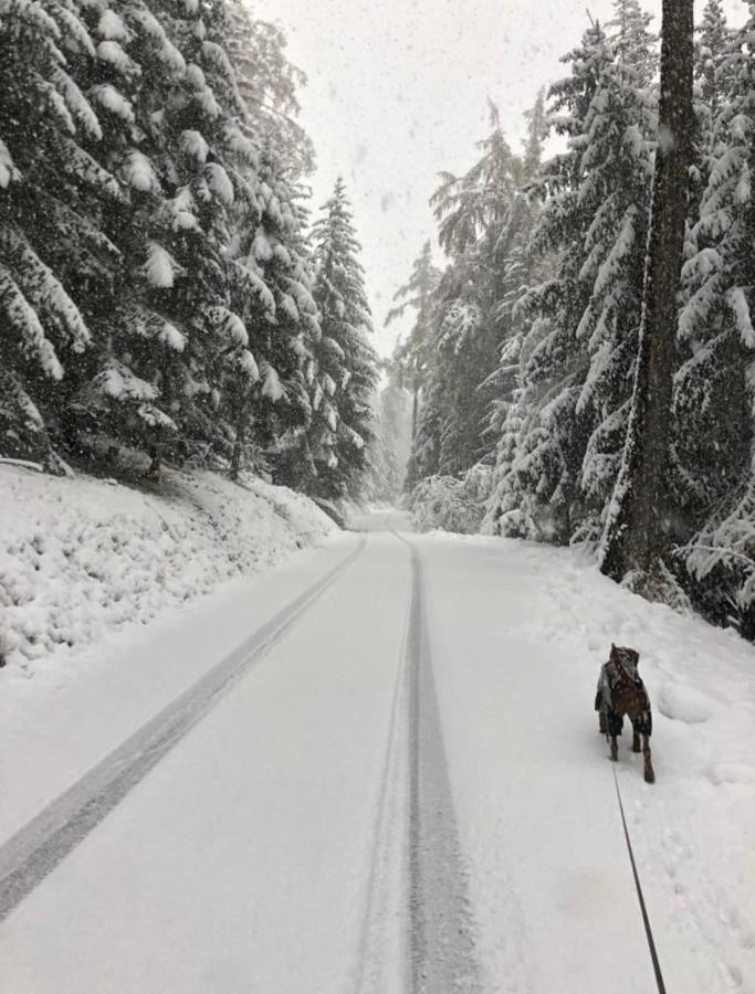 Chalet Crans-Montana Apartman Kültér fotó